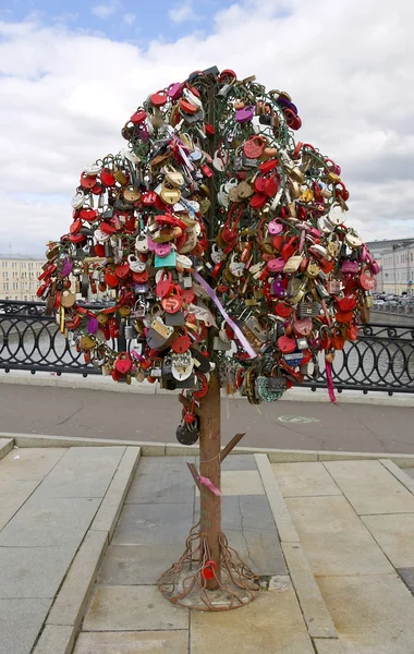 Láska strom na Lužkov mostu. Moskva, Rusko — Stock fotografie