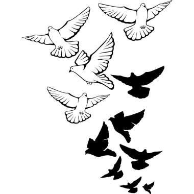 Flying pigeons background. Hand drawn vector illustration.