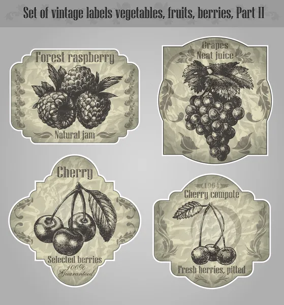 Vector set: vintage etiketten fruit, groenten, bessen - inspireren — Stockvector