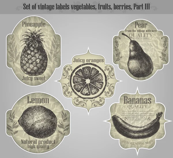 Διανυσματικά σύνολο: vintage Ετικέτες φρούτα, λαχανικά, μούρα - να εμπνεύσει — Διανυσματικό Αρχείο