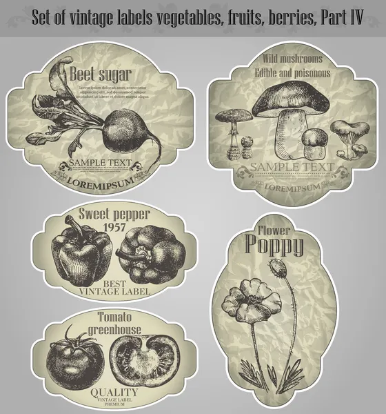 Vektör kümesi: vintage etiketleri meyveler, sebzeler, meyveler - ilham — Stok Vektör
