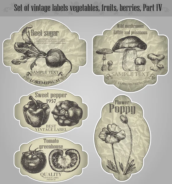Ensemble vectoriel : étiquettes vintage fruits, légumes, baies - inspirer Vecteur En Vente