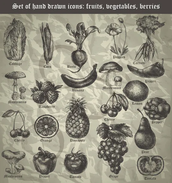 Conjunto ícone de frutas, legumes, bagas para o menu no vintage — Vetor de Stock