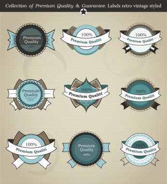 Vector set of retro labels, buttons and icons. clipart