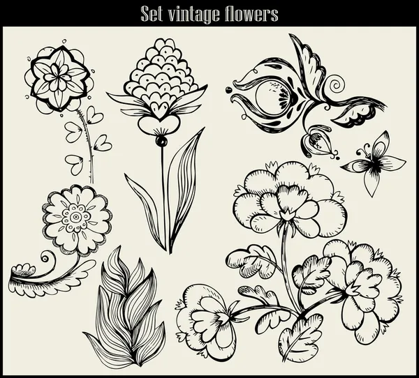 Set di fiori: altamente dettagliato — Vettoriale Stock