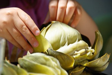 Eat an artichoke clipart