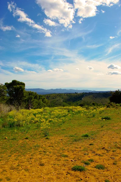 kırsal kesimde provence, Fransa.