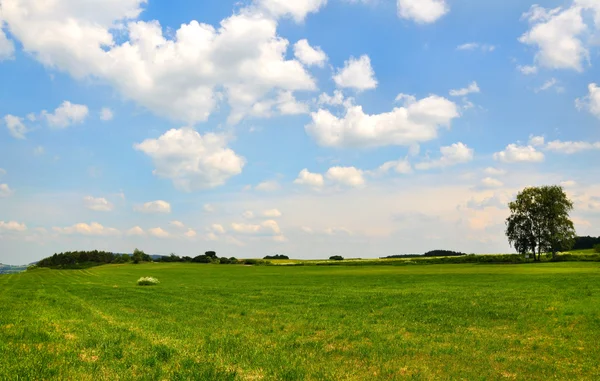 stock image Meadow with white clouds on blue sky