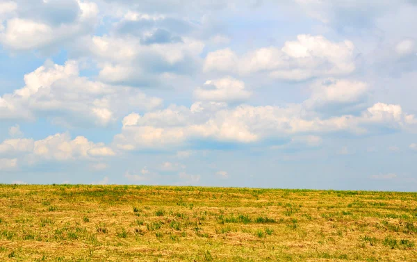 Meadow with white clouds on blue sky — Stock Photo, Image