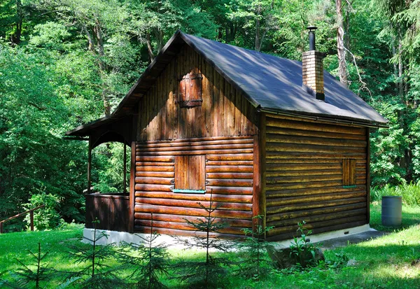 森林中的小木屋 — 图库照片