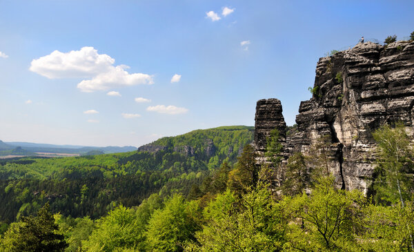 Czech-saxon switzerland - sandstone rocks in forest