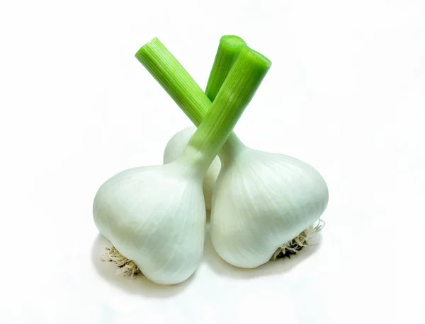 stock image Fresh Garlic