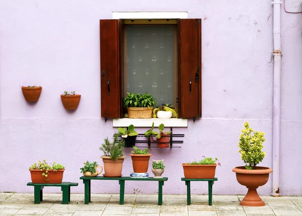 Row of flowerpots outside a lilac building. — Zdjęcie stockowe