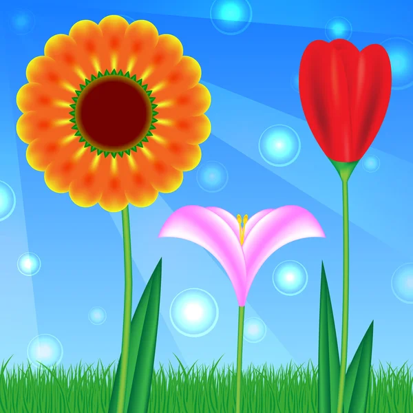 Flowers vector background — Stock Vector