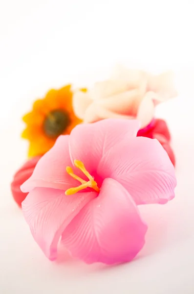 Grupo de vela de flor — Fotografia de Stock