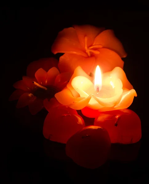 Çiçek mum yanıyor — Stok fotoğraf