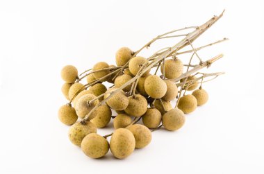 longan Şubesi