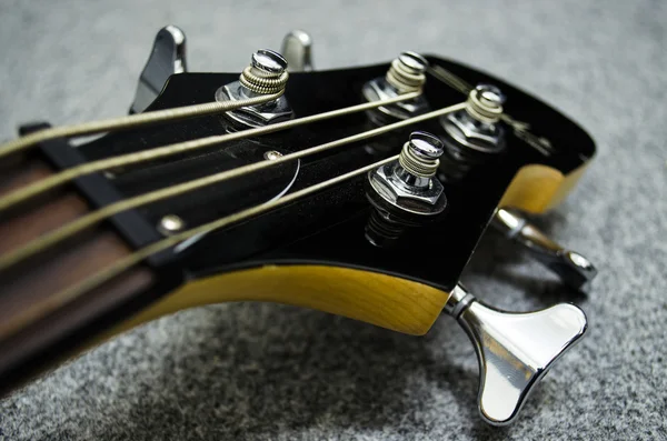 Close up of bass head — Stock Photo, Image