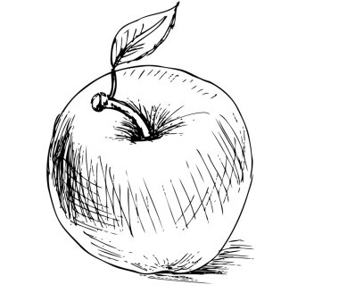 Illustration - apple clipart