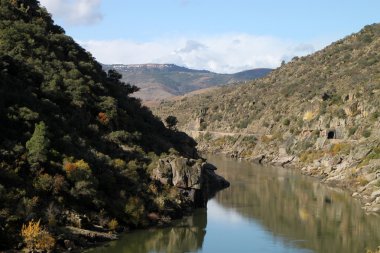 Alto douro şarap bölgesi