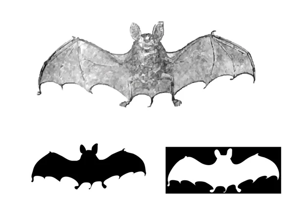 蝙蝠刻 — 图库矢量图片