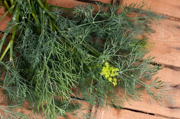 Dill on an old wood — Stock Photo, Image