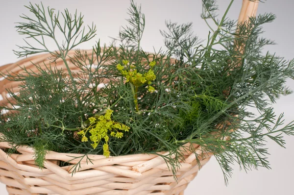 Dill in a basket — Stock Photo, Image