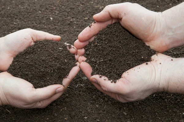 Soil in hands — Stock Photo, Image