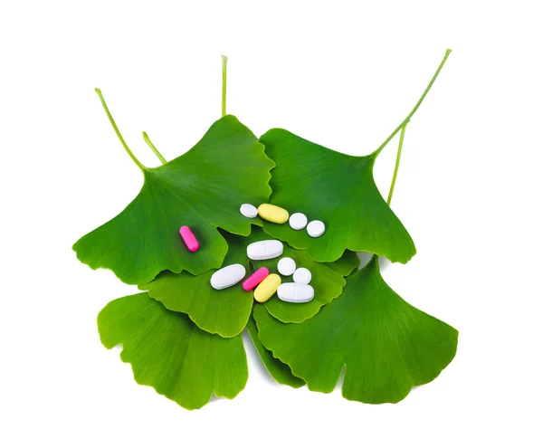 Ginkgo leaf — Stock Photo, Image