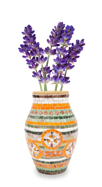 Лаванда ваза — стокове фото