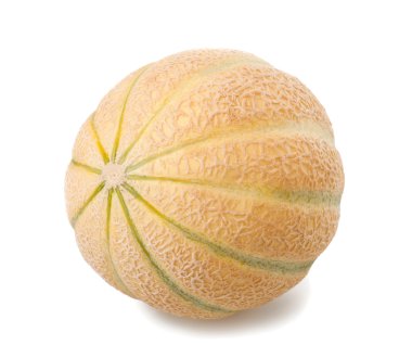 Charentais melon clipart