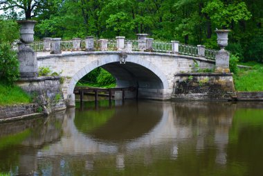 The old bridge in the park of Pavlovsk clipart