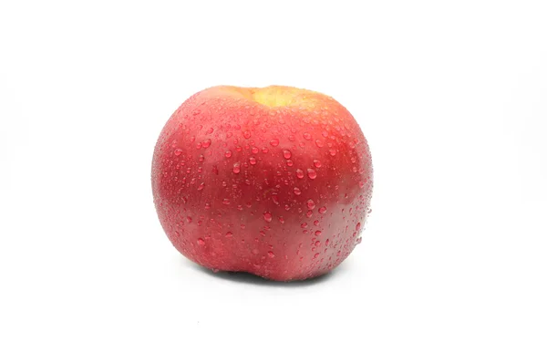 白地にりんご — ストック写真