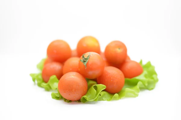 Cherry rajčata s listy salátu — Stock fotografie