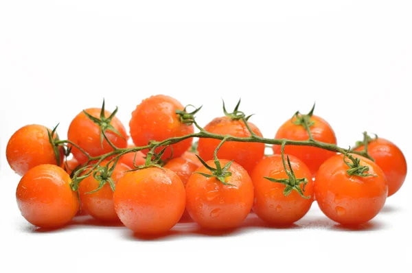 チェリー トマトのクローズ アップと分岐 — Stock fotografie