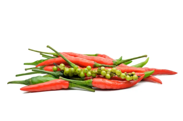 Multi-colored peppers on a white background — Stock Photo, Image