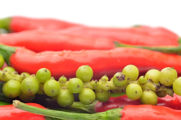 Πολύχρωμες πιπεριές σε λευκό φόντο — Φωτογραφία Αρχείου