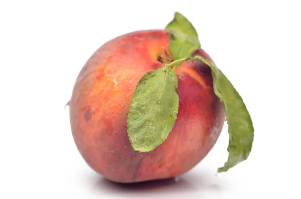 Свежий персик с листьями — стоковое фото