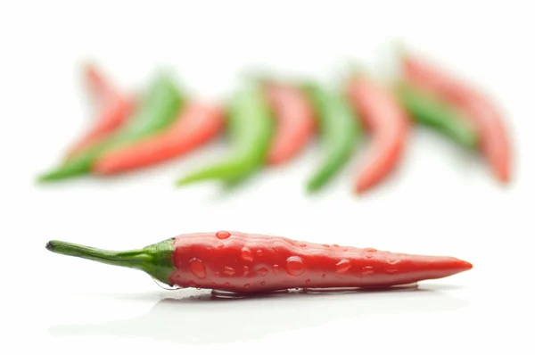 Multi-colored peppers on a white background — Stock Photo, Image