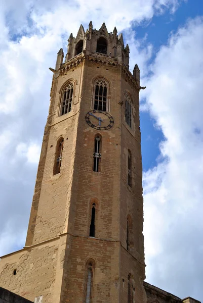 De kathedraal van st. mary van la seu vella — Stockfoto