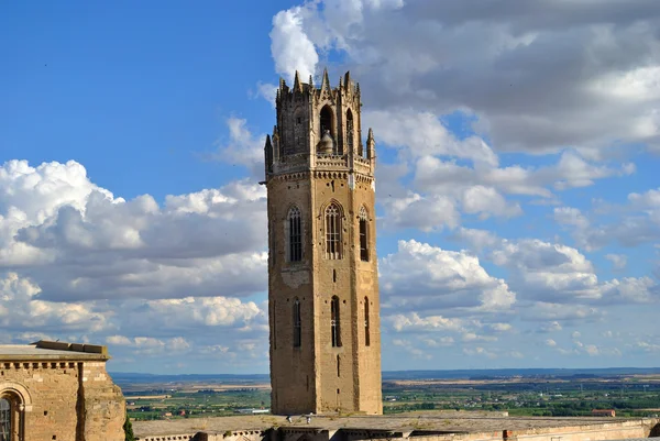 The Cathedral of St. Mary of La Seu Vella — Stock Photo, Image