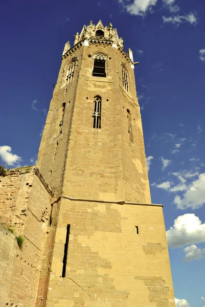 De kathedraal van st. mary van la seu vella — Stockfoto