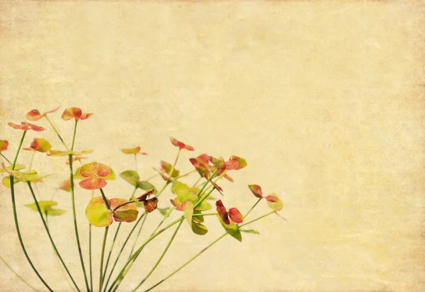 朴实的花卉背景和设计元素 — 图库照片