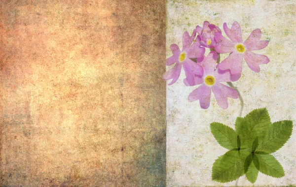 Floral grunge background Royalty Free Stock Images