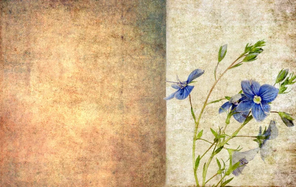 Floral και γήινα υπόβαθρο εικόνα και σχέδιο στοιχείο — Φωτογραφία Αρχείου