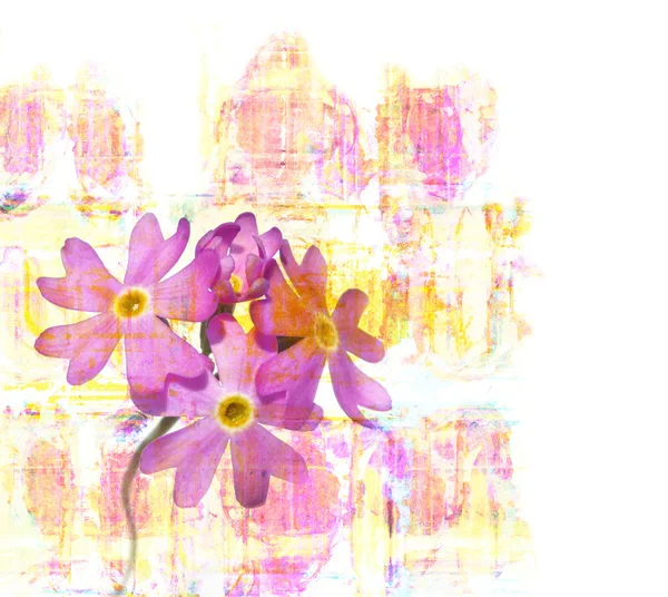 Ilustração floral vibrante e elemento de design — Fotografia de Stock