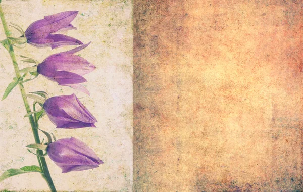 Γήινα floral φόντο — Φωτογραφία Αρχείου