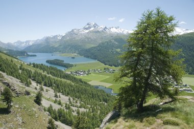 panoramik engadine Vadisi, İsviçre