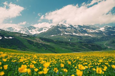 Gorgeous alpine landscape of eastern switzerland clipart