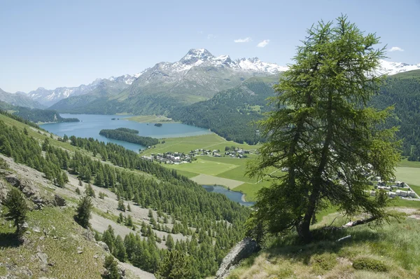 Panoramisch uitzicht op de vallei van Engadin, Zwitserland — Stockfoto
